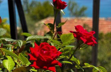 Georgia's Skyview - Foto 3