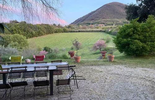 agriturismo villa marani - Foto 19