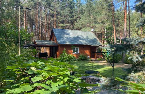 Chata przy lesie - Foto 44