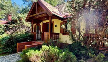 Fajny Domek w Nartach - Foto 1