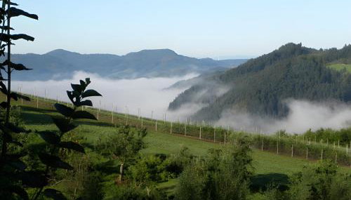 Ferienhaus Hubhof - Foto 4
