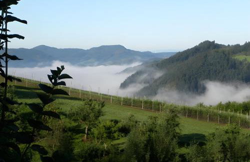 Ferienhaus Hubhof - Foto 4