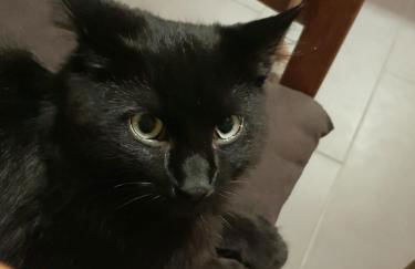 Gulfhof Anelis - Foto 8