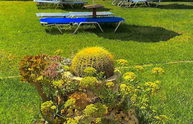 Ermis Suites - Photo 35