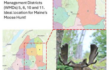 Halls Corner Lodge I Peaceful Woodland Escape - Foto 29