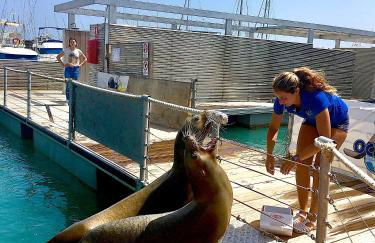 Villa Madelia - Photo 55