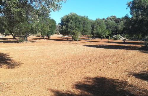 Trullo Alessandro e Villa Raffaela - Foto 60