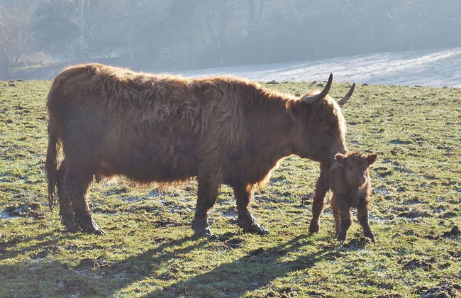 Watermill Stay With Garden - Foto 36