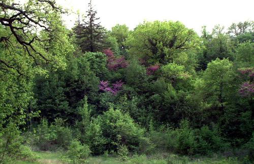 Umbria Valnerina in Noble Residence near Spoleto Apartment x 4-6 persons - Foto 22