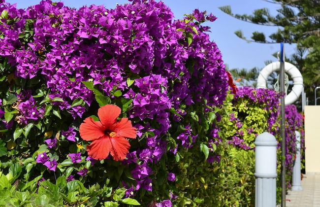 Napa Prince Hotel Apartments - Foto 60