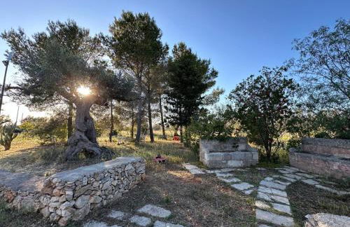 La Petraia - Foto 12