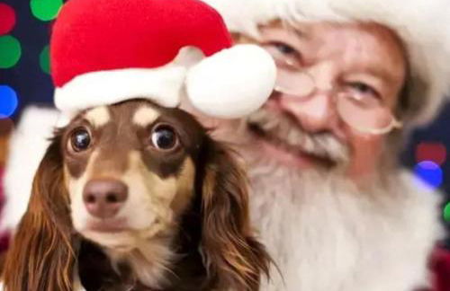 Caravan with hot tub at Tattershall lakes - Foto 57