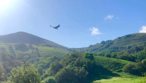 Un écrin dans la nature - Photo 4