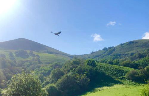 Un écrin dans la nature - Foto 4