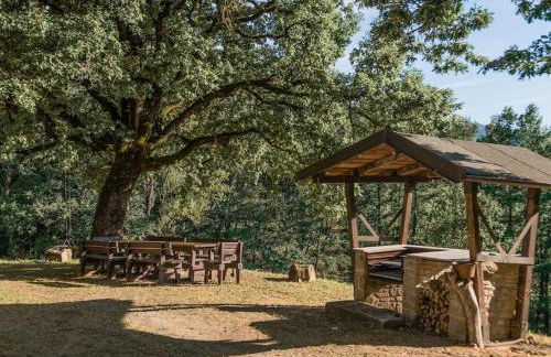 Abissinia, Gioiello nel Bosco - Foto 24