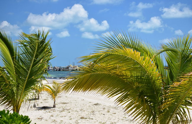 Bahari Cancun - Adults Only - Photo 29