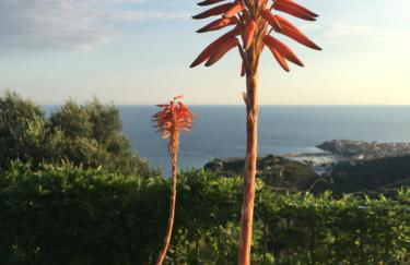 La Terrazza Del Duca - Foto 55