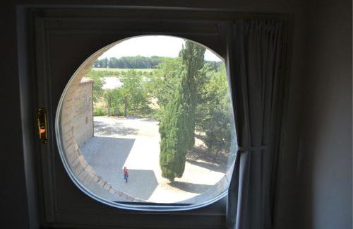 Bioagriturismo il cerreto - Foto 8