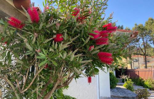 Sítio Do Louro Villa - Photo 22