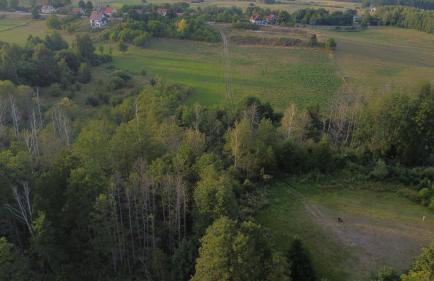 Pokoje Inulec - Foto 15