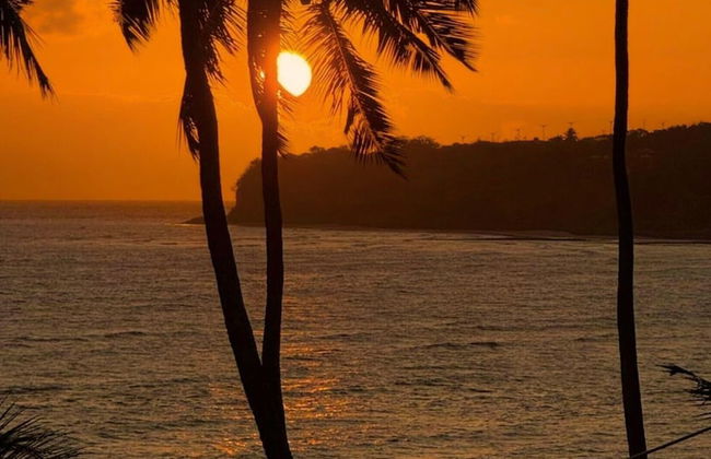 AX Setai Yacht - Photo 69