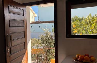 Ninho da Irene - Foto 10