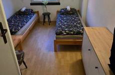 zielono mi - Foto 54