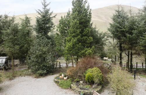 Brant View - Foto 38