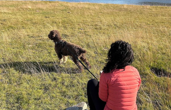 Apartahotel Canfranc - Foto 56