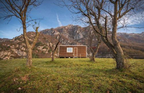 Rallentare tra i colori della valle dell'Arzino - Foto 15