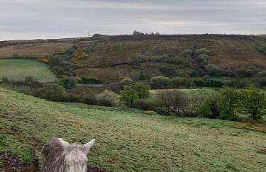 Glengesh House - Foto 8