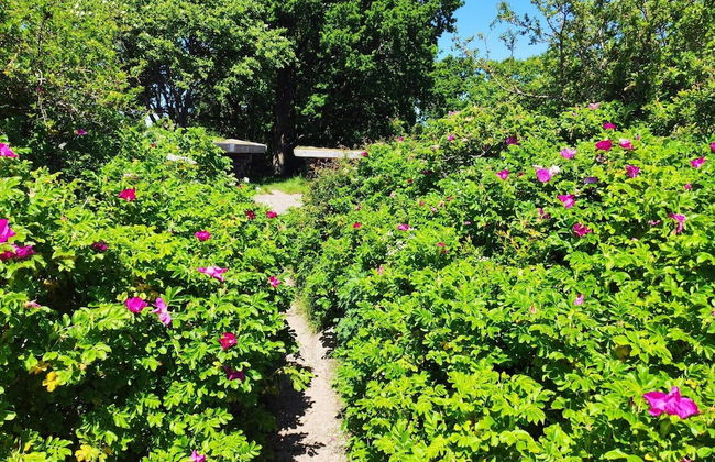 Seaside Haven With Spa - By Traum Ferienwohnungen - Foto 25