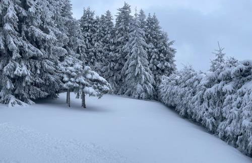Große Ferienwohnung Hundertwasser am Dreisessel in Altreichenau - Foto 27