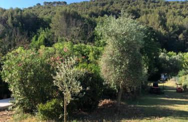 L Atelier gîte 3 étoiles avec piscine Le Jas des Oliviers - Foto 18