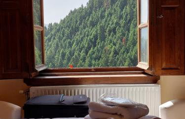 Villa Korfes-Πέτρινη Τριώροφη Βίλα-Άνεση & Ιδιωτικότητα - Foto 43