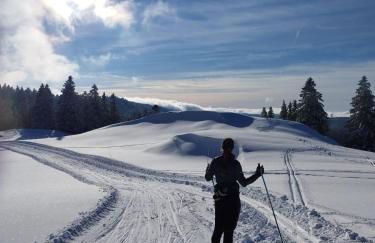 Gîte de la Diligence - Foto 31