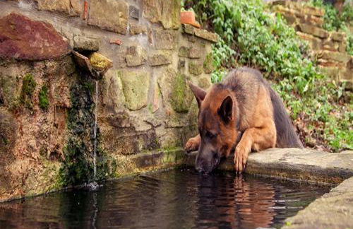 I Tre Tigli - Casa di campagna - Foto 26