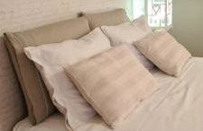 Musa Paradisiaca - Foto 25