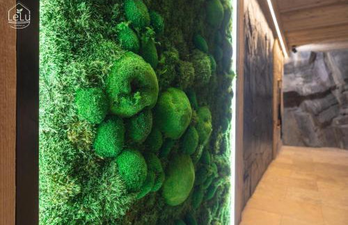 Lelu Spa&Natura - Foto 69