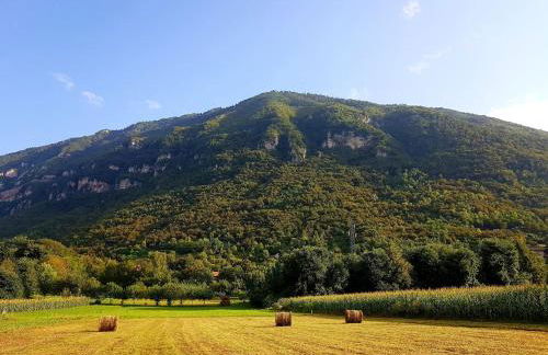 La Rocconella - Foto 25