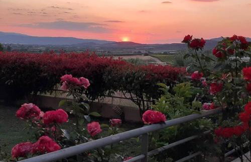 Hilltop Sea View - Foto 33