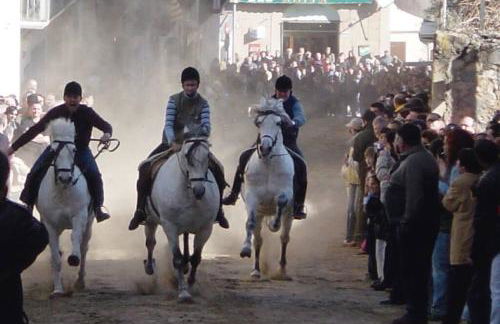 Ca Serrulleta - Foto 15