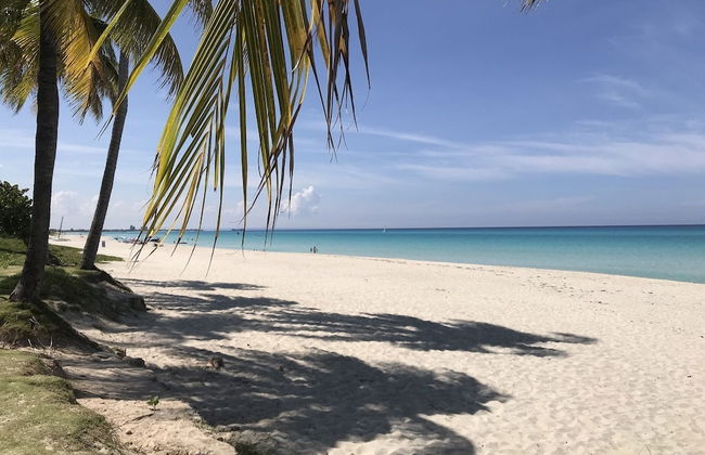 Casa Marlin - Foto 42