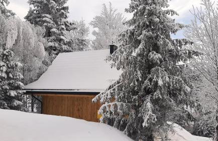 Domki Krynica - Foto 2