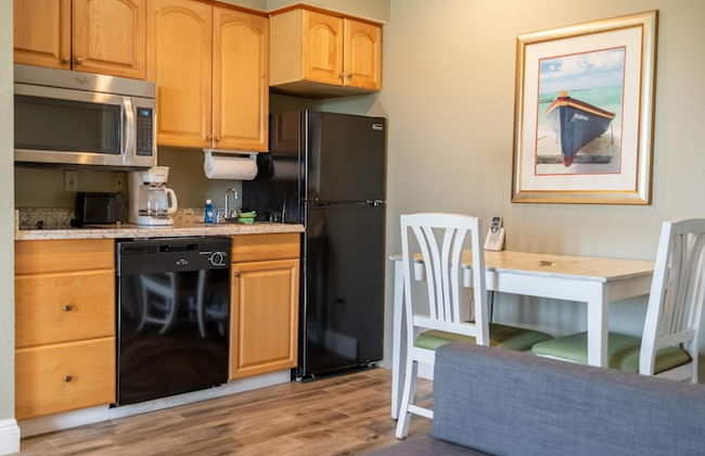 Palm Studio by Orlando Short Term - Foto 19