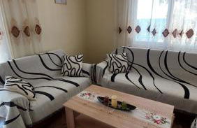 Apartment Dolphins - Photo 16