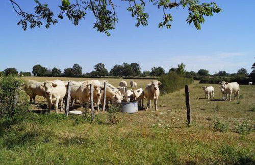 Relax in this privately located farmhouse - Foto 7