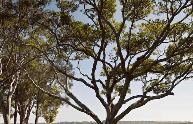 Langley Park Apartments - Photo 54