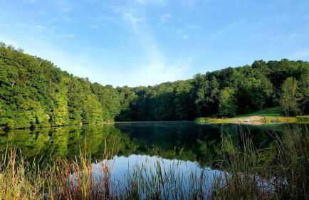 The Lodge at Hocking Hills - 2 Hot Tubs - 6 acres - Lake access - Photo 30