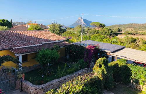 Bilocale Miramare - Foto 17